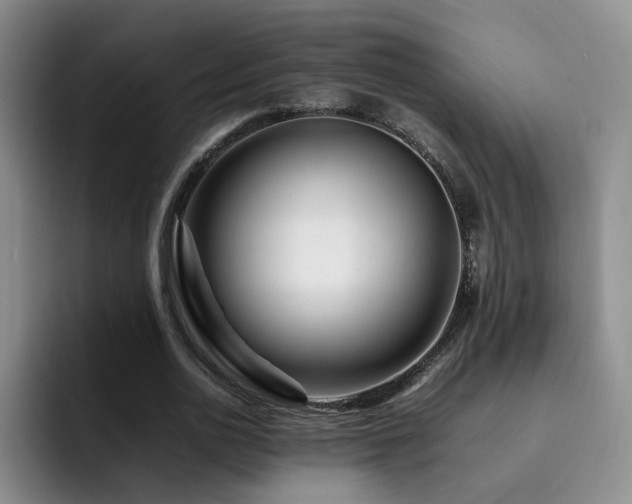 X0000092230726200709141105