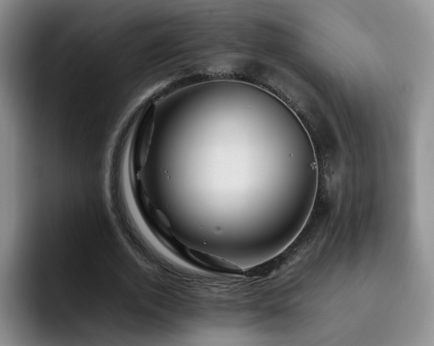 X0000092230728200709141105