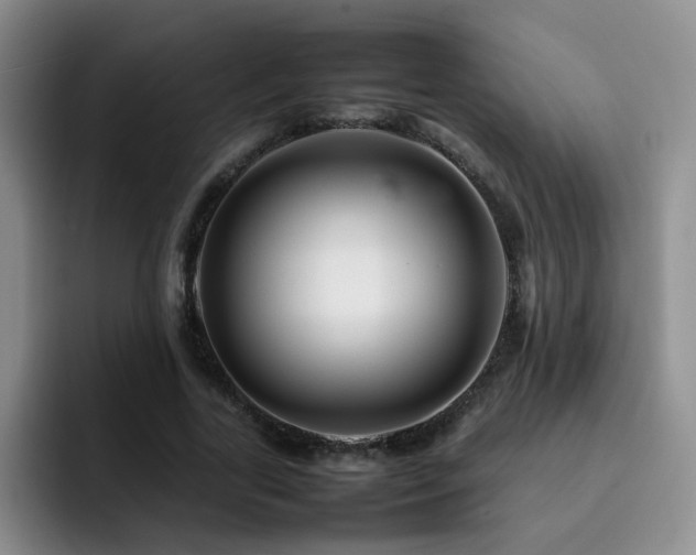 X0000092230731200709141105