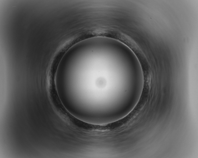 X0000092230732200709141105