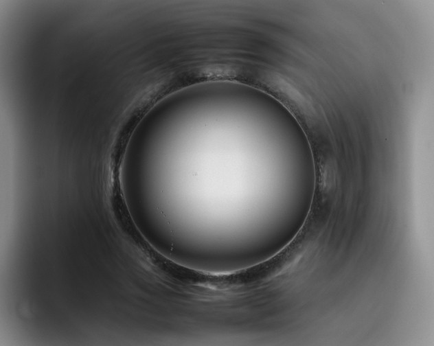 X0000092230733200709141105