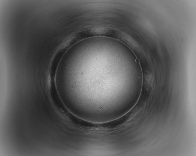 X0000092230734200709141105