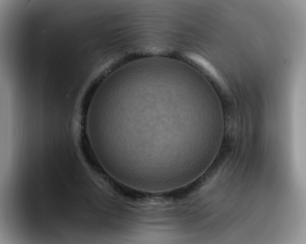 X0000092230736200709141105