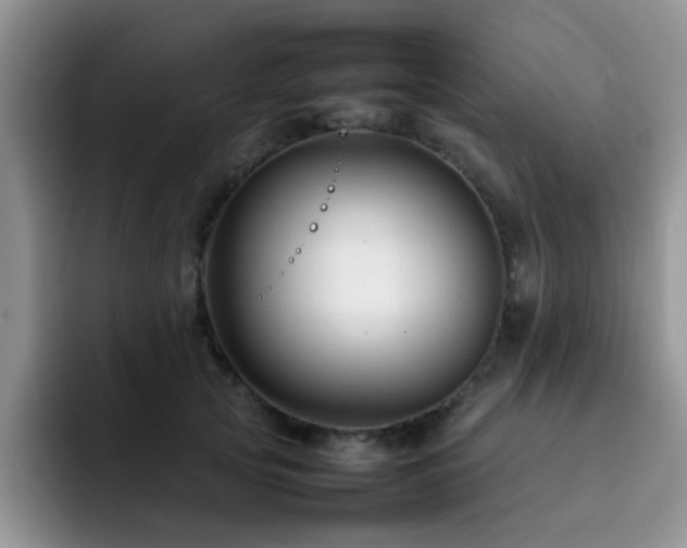 X0000092230753200709141105