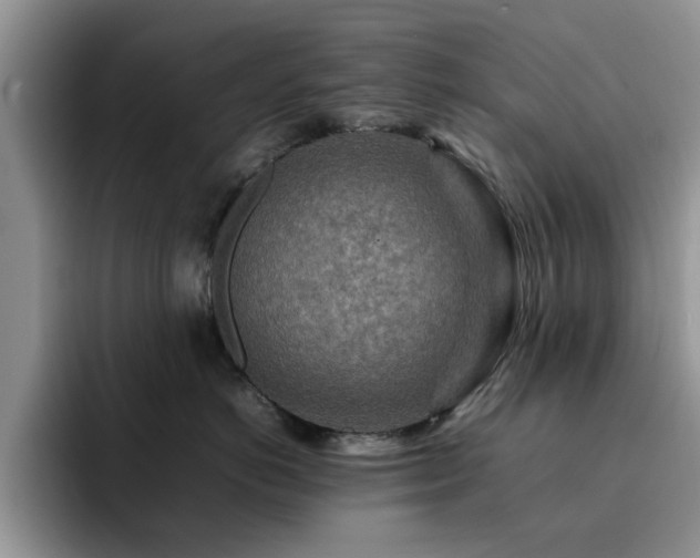 X0000092230766200709141105
