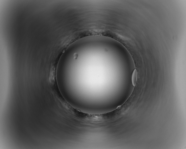X0000092230768200709141105