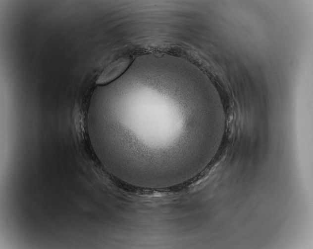 X0000092230772200709141105