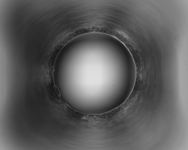 X0000092230774200709141105
