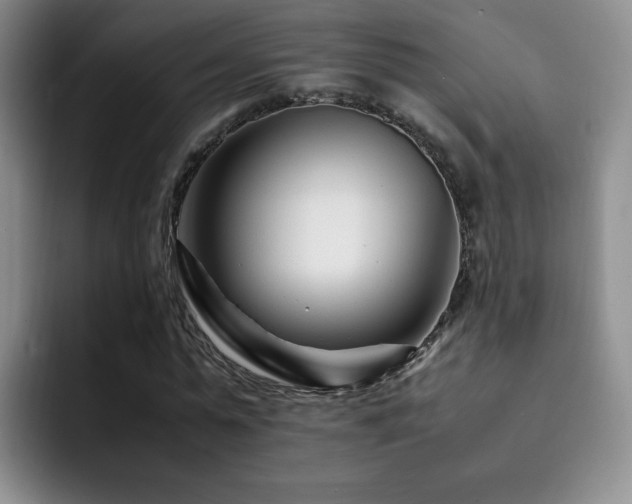 X0000092230775200709141105