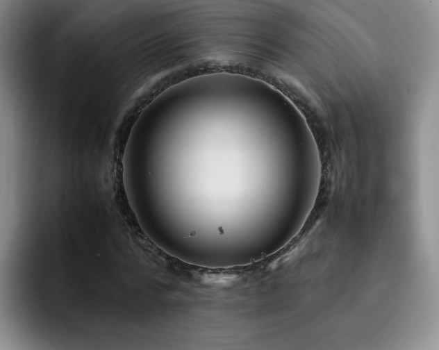 X0000092230776200709141105