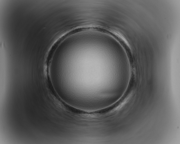 X0000092230781200709141105