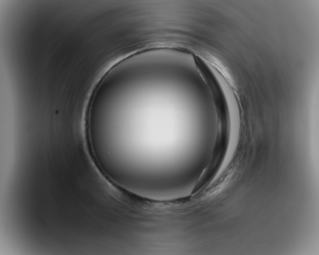 X0000092230803200709141104