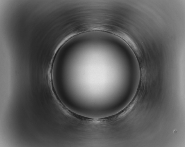 X0000092230814200709141104