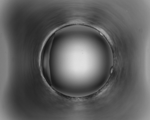 X0000092230815200709141104