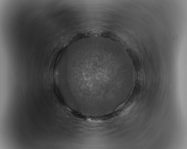 X0000092230818200709141104