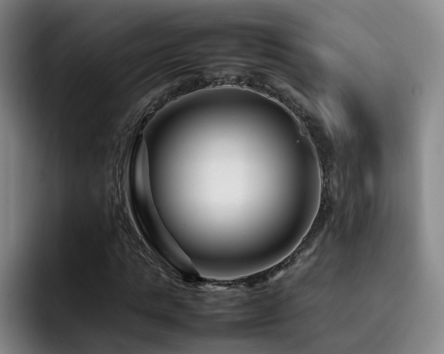X0000092230821200709141104