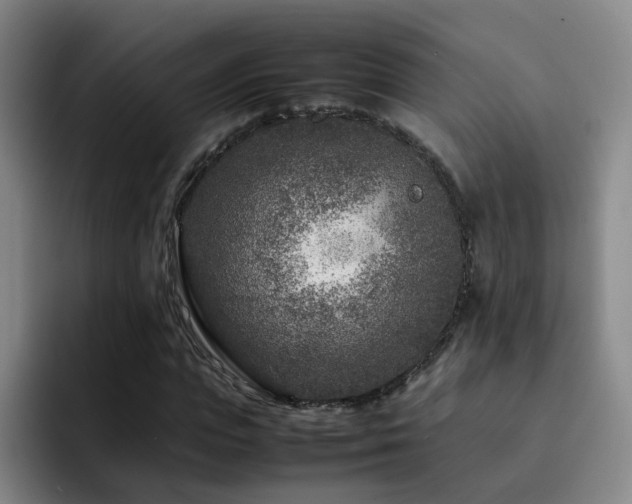 X0000092230823200709141104