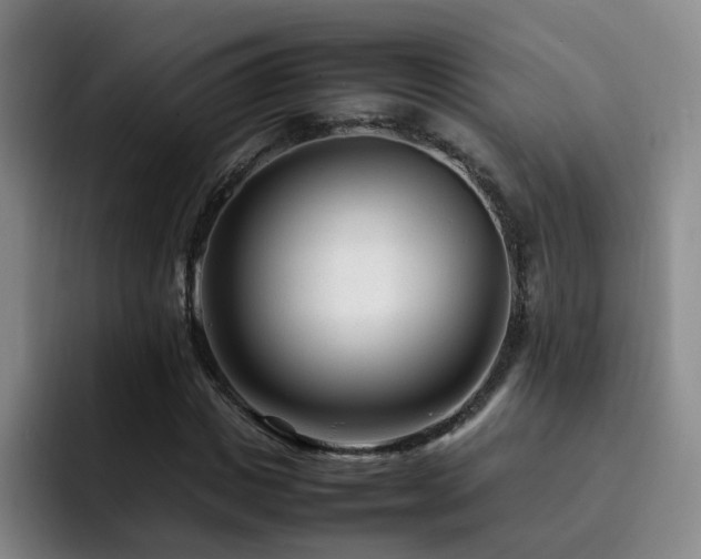 X0000092230825200709141104