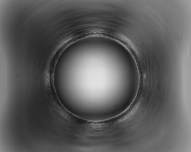 X0000092230827200709141104
