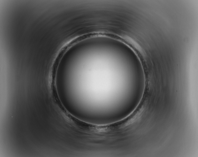 X0000092230831200709141104