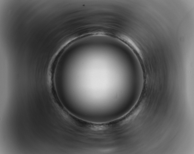 X0000092230835200709141104