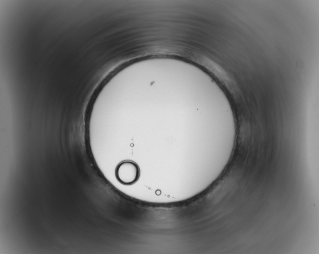 X0000092230836200709141104