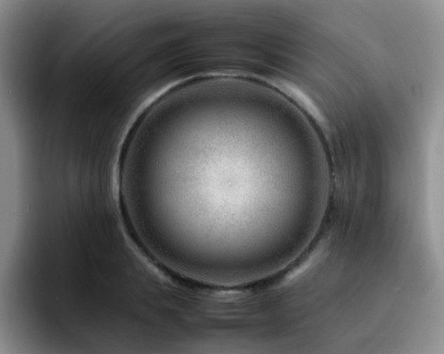 X0000092230839200709141104