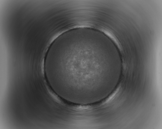 X0000092230842200709141104