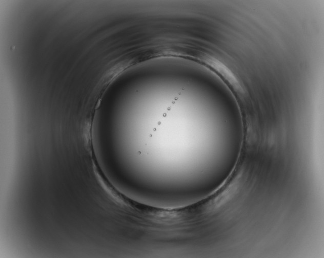 X0000092230849200709141104