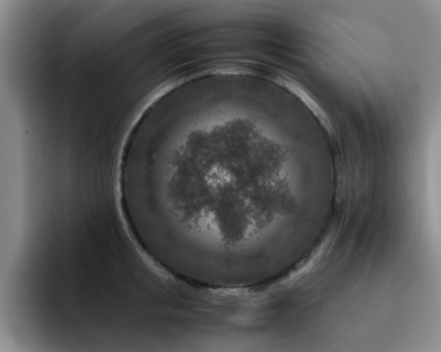 X0000092230853200709141104