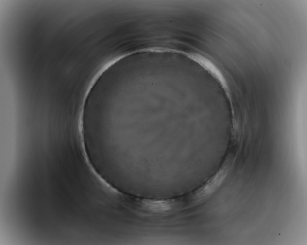 X0000092230855200709141104