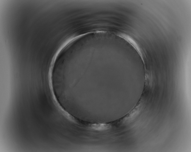 X0000092230859200709141104