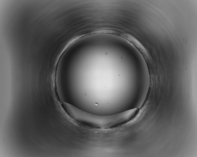 X0000092230860200709141104