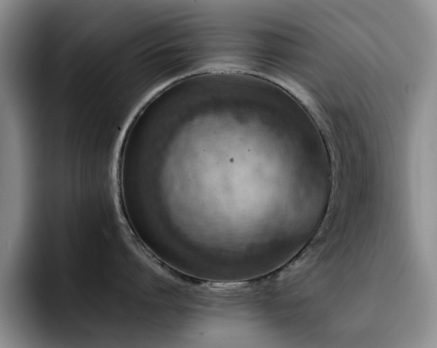 X0000092230864200709141104
