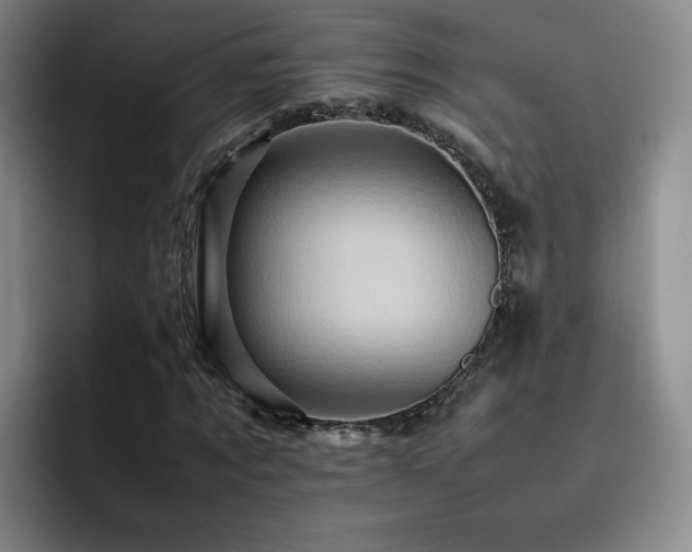 X0000092230869200709141104