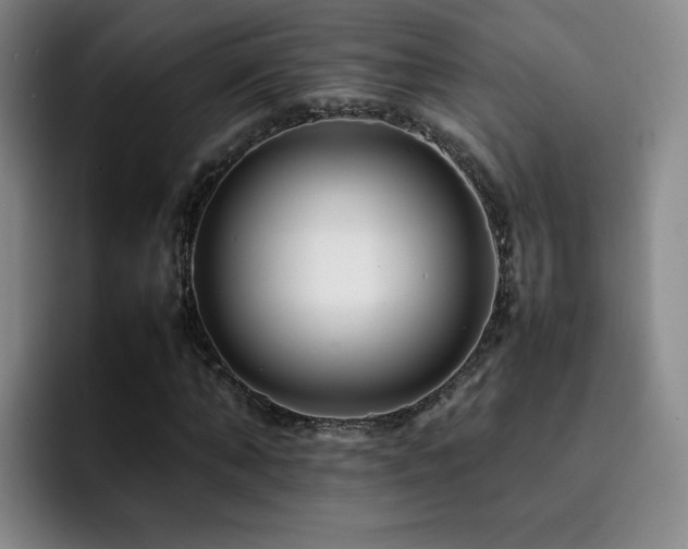 X0000092230870200709141104
