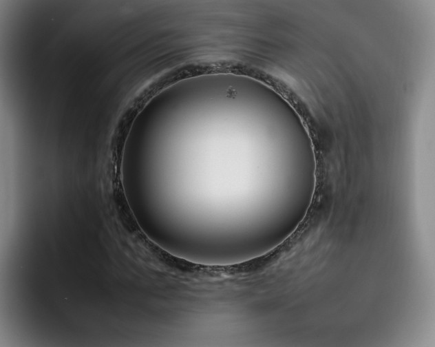 X0000092230871200709141104