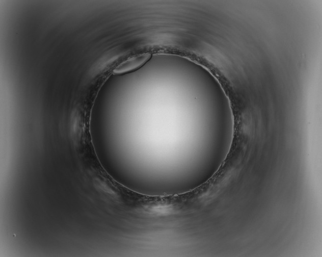 X0000092230872200709141104