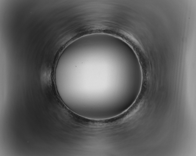 X0000092230873200709141104