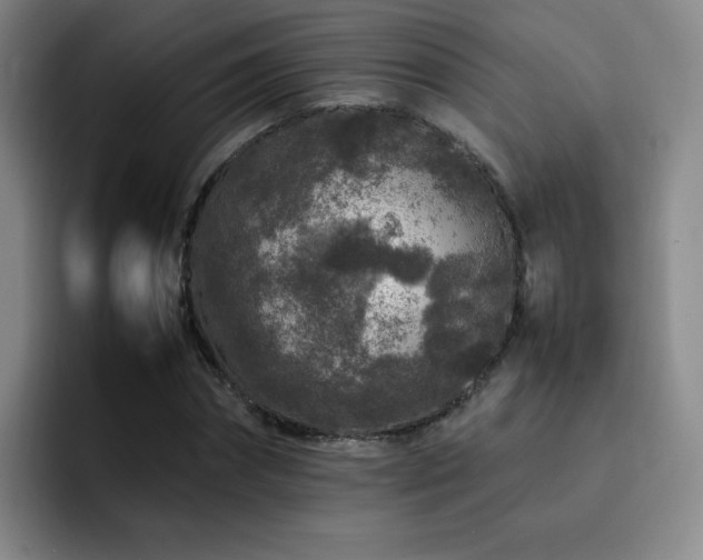 X0000092230874200709141104