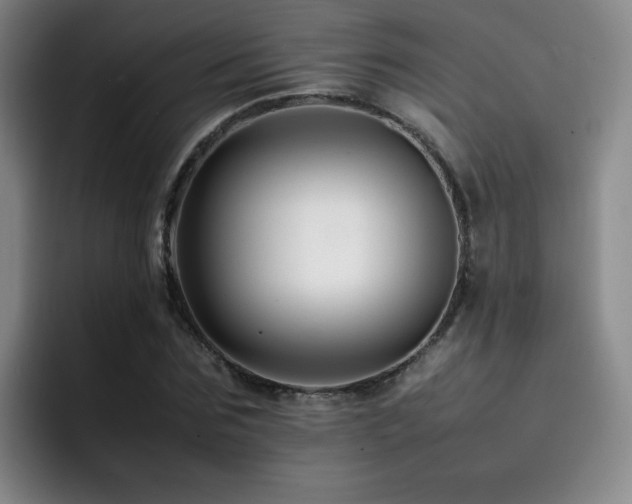 X0000092230875200709141104