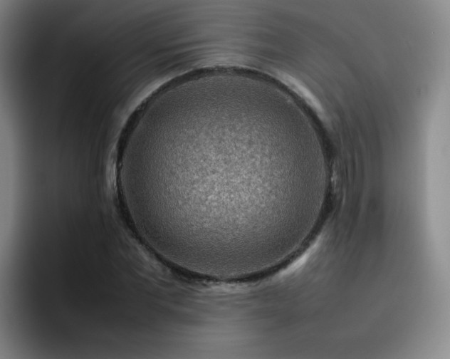X0000092230877200709141103