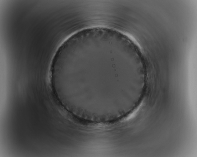 X0000092230879200709141103