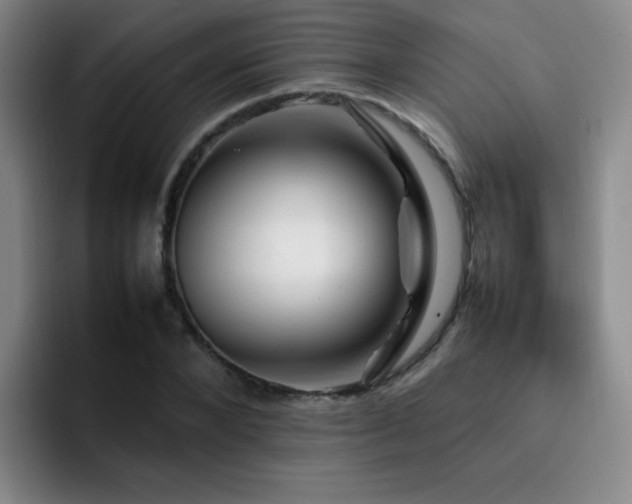 X0000092230880200709141103