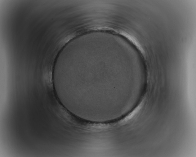 X0000092230881200709141103