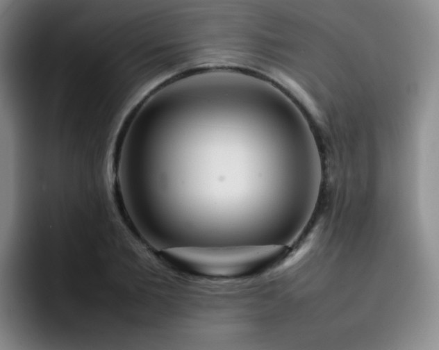 X0000092230885200709141103