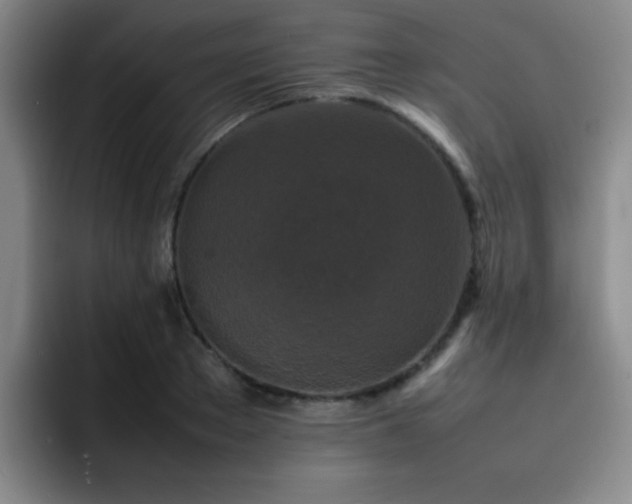 X0000092230889200709141103
