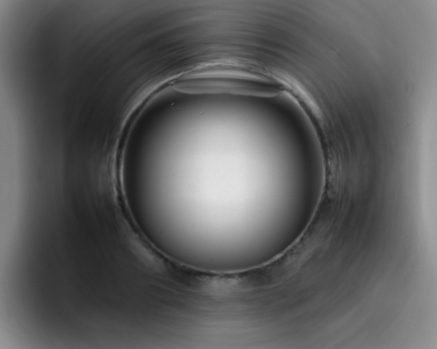 X0000092230890200709141103