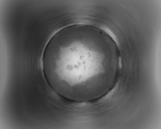 X0000092230891200709141103