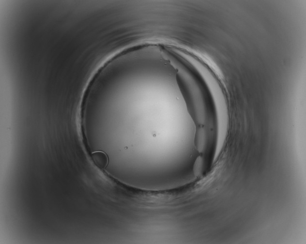 X0000092230895200709141103